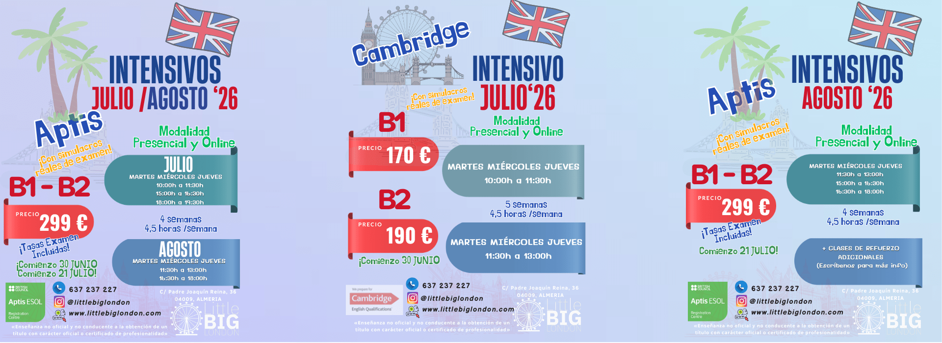 web INTENSIVOS verano 26